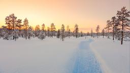 Locations de vacances - Laponie