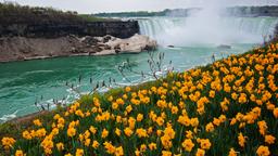 Annuaire des hôtels à Niagara Falls