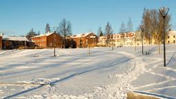 Hôtels près de Aéroport d'Umeå