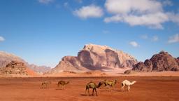 Annuaire des hôtels à Wadi Rum