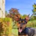 Autre
