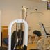 Salle de sport