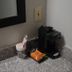 Équipements de la chambre