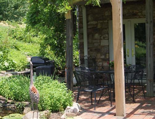 Fincastle Vineyard Bed and Breakfast - Fincastle - Patio