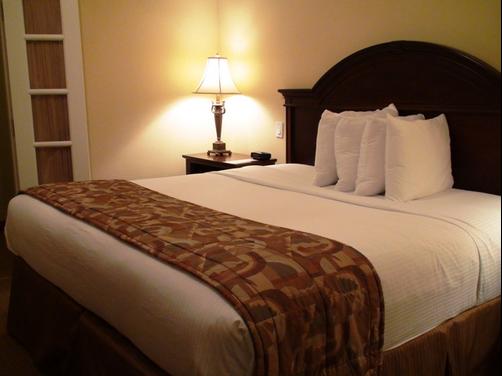 Best Western Plus Monica Royale Inn & Suites - Greenville - Lit