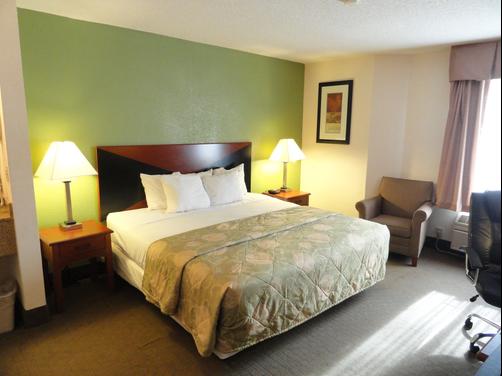 Sleep Inn Northlake - Charlotte - Chambre supérieure King-size