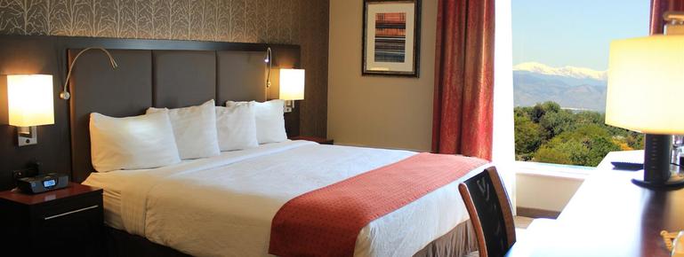 Holiday Inn Denver-Cherry Creek - Denver - Chambre