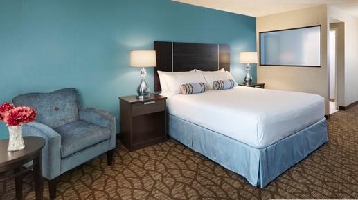 Silver Sevens Hotel & Casino - Las Vegas - Chambre