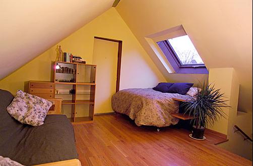 Ray's Bucktown Bed and Breakfast - Chicago - Chambre