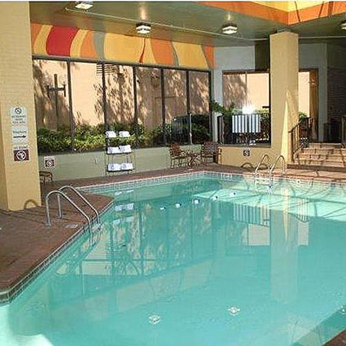 Windsor Hotel Atlanta - Atlanta - Piscine