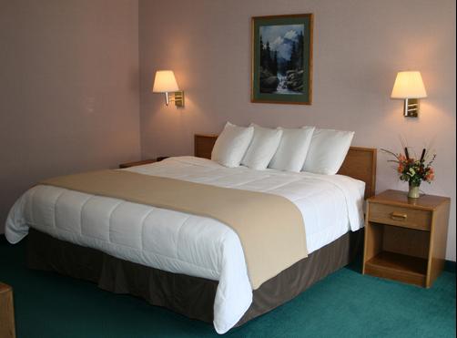 Allington Inn and Suites - South Fork - Chambre supérieure King-size