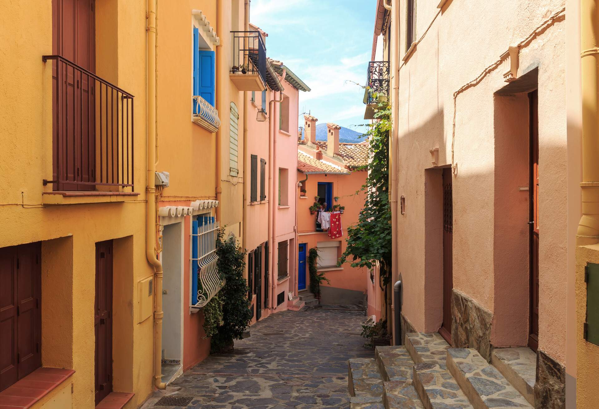 Typical street in the south of France (Collioure / Languedoc-Roussillon, France)