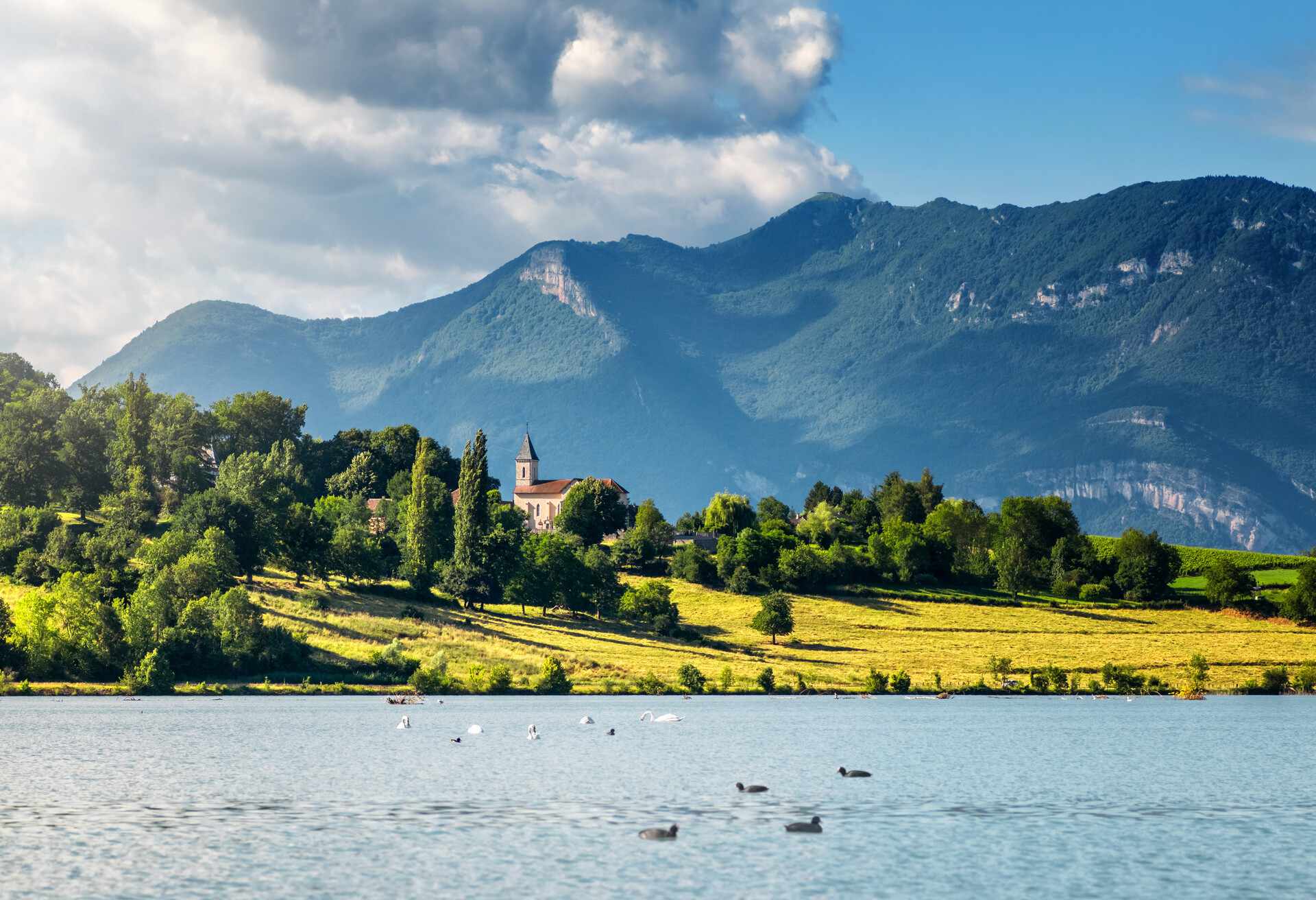 Horizontal format color photography of small beautiful church steeple in middle of green meadow and lush foliage trees in French countryside, near small marina harbor of Massignieu de Rives on Rhone river deviation, also named Lac du Lit Au Roi lake. There are several birds on river water (like ducks or swans), and famous local landmark of Grand Colombier mountain peak away in background. This image was taken during a sunny summer day in European Alps, Bugey mountains in Ain department, Auvergne-Rhone-Alpes region in France (Europe).