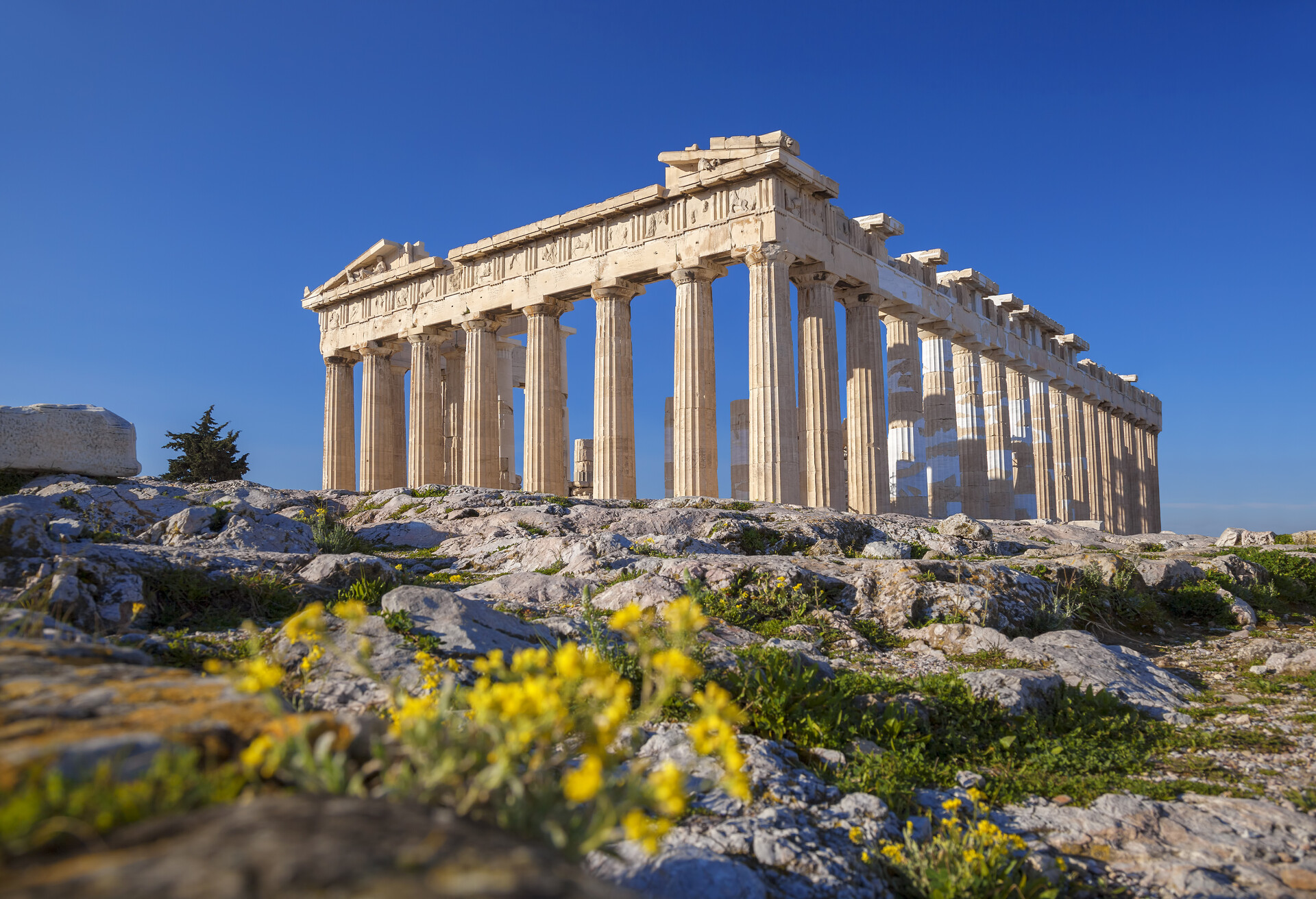 Famous Parthenon temple with spring flowers on the  Acropolis in Athens, Greece