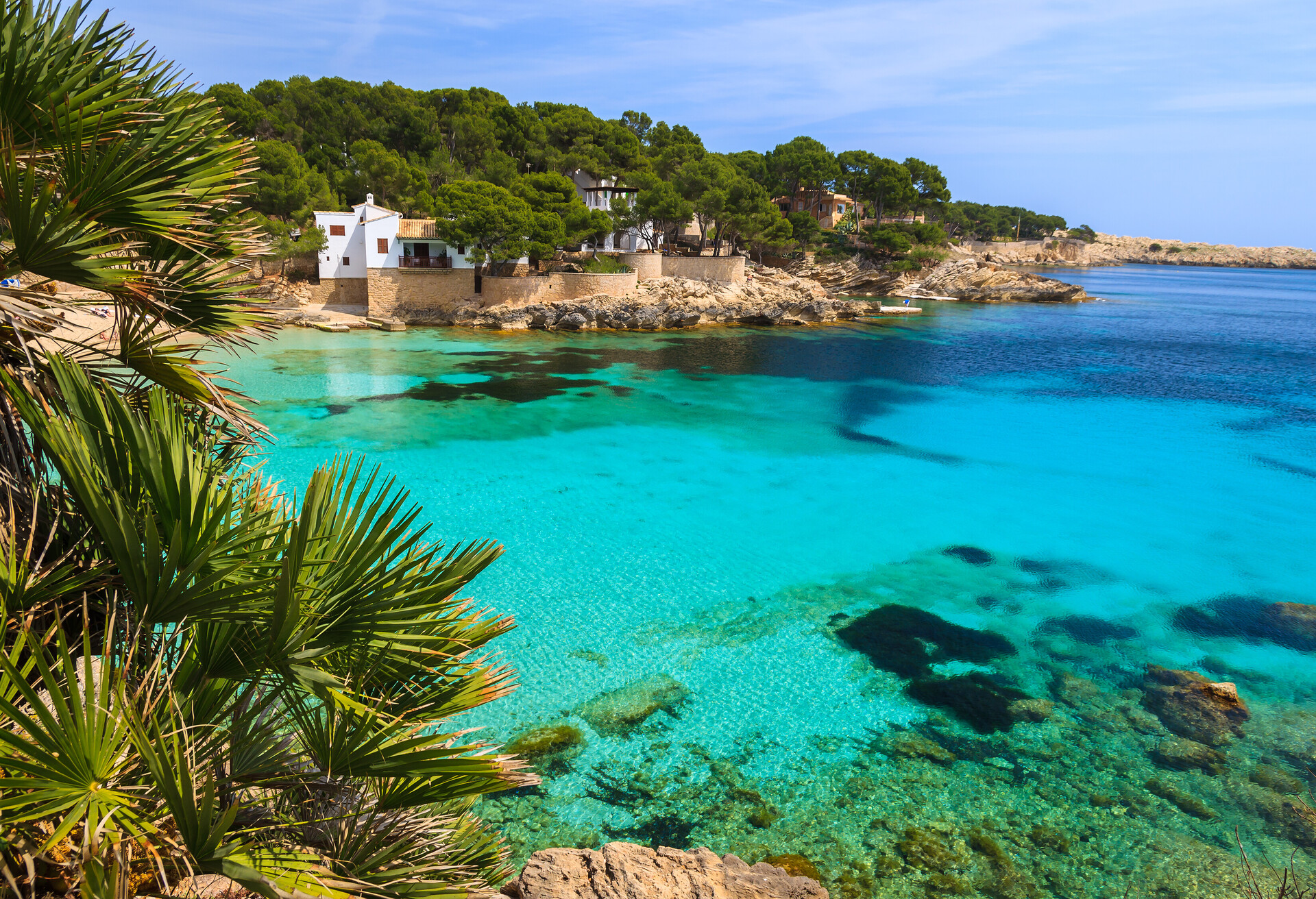 Beach bay azure turquoise sea water hill pine tree, Cala Gat, Majorca island, Spain; Shutterstock ID 143322994; Purpose: Destiny; Brand (KAYAK, Momondo, Any): Any