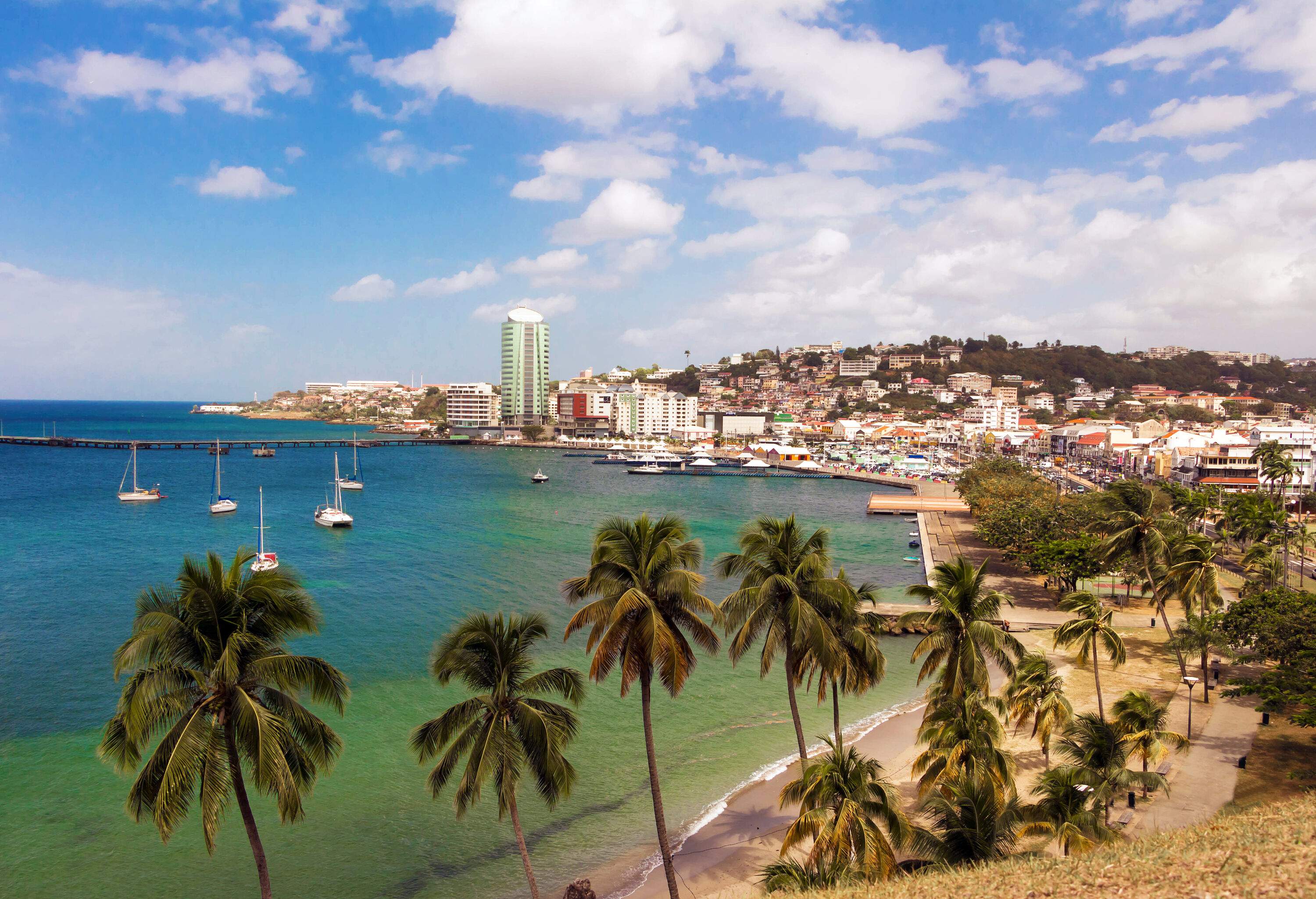 A populous seaside city perched on a hill overlooking a bay with tranquil clear waters surrounded by palm trees.