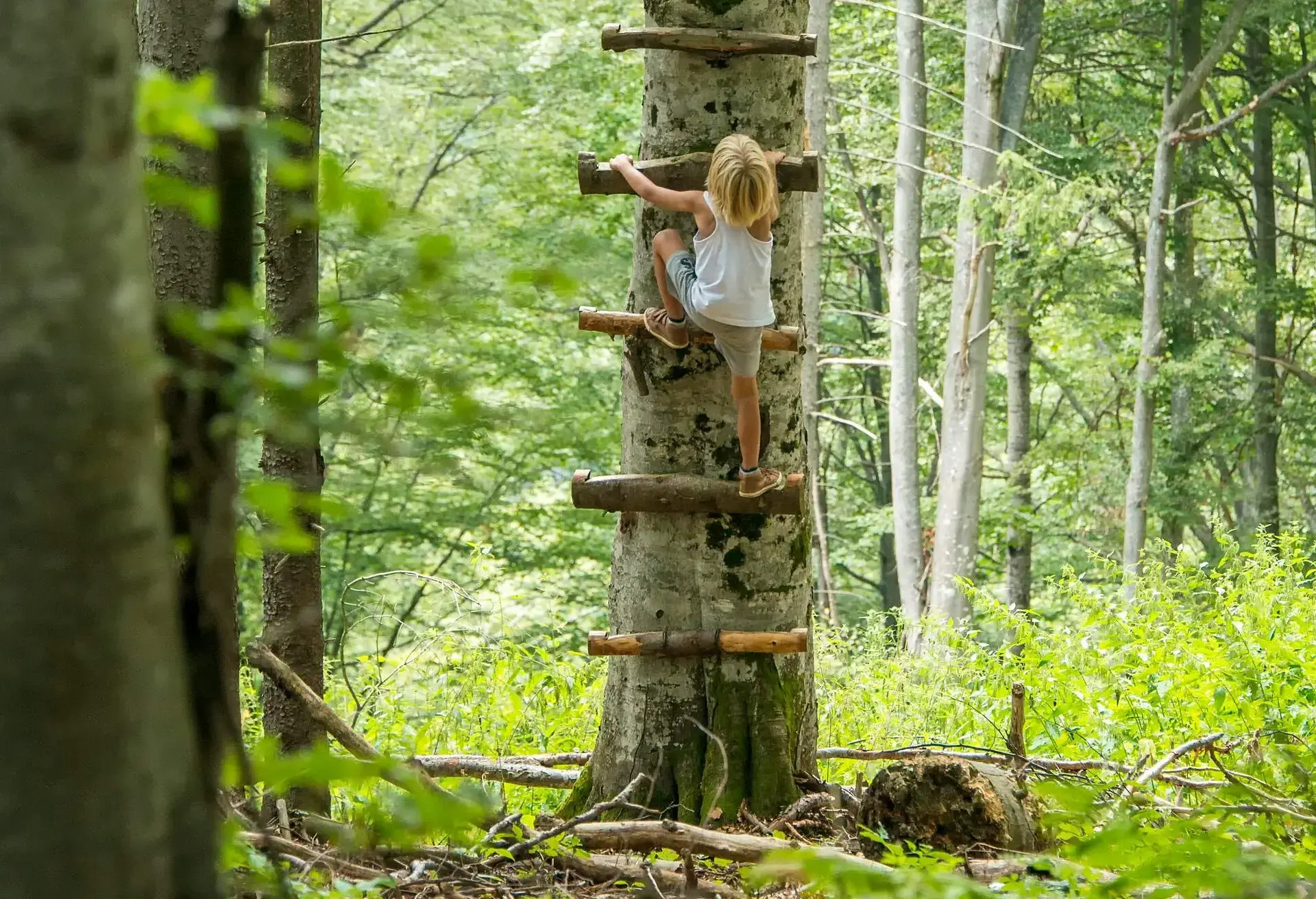 Child climbing on a tree