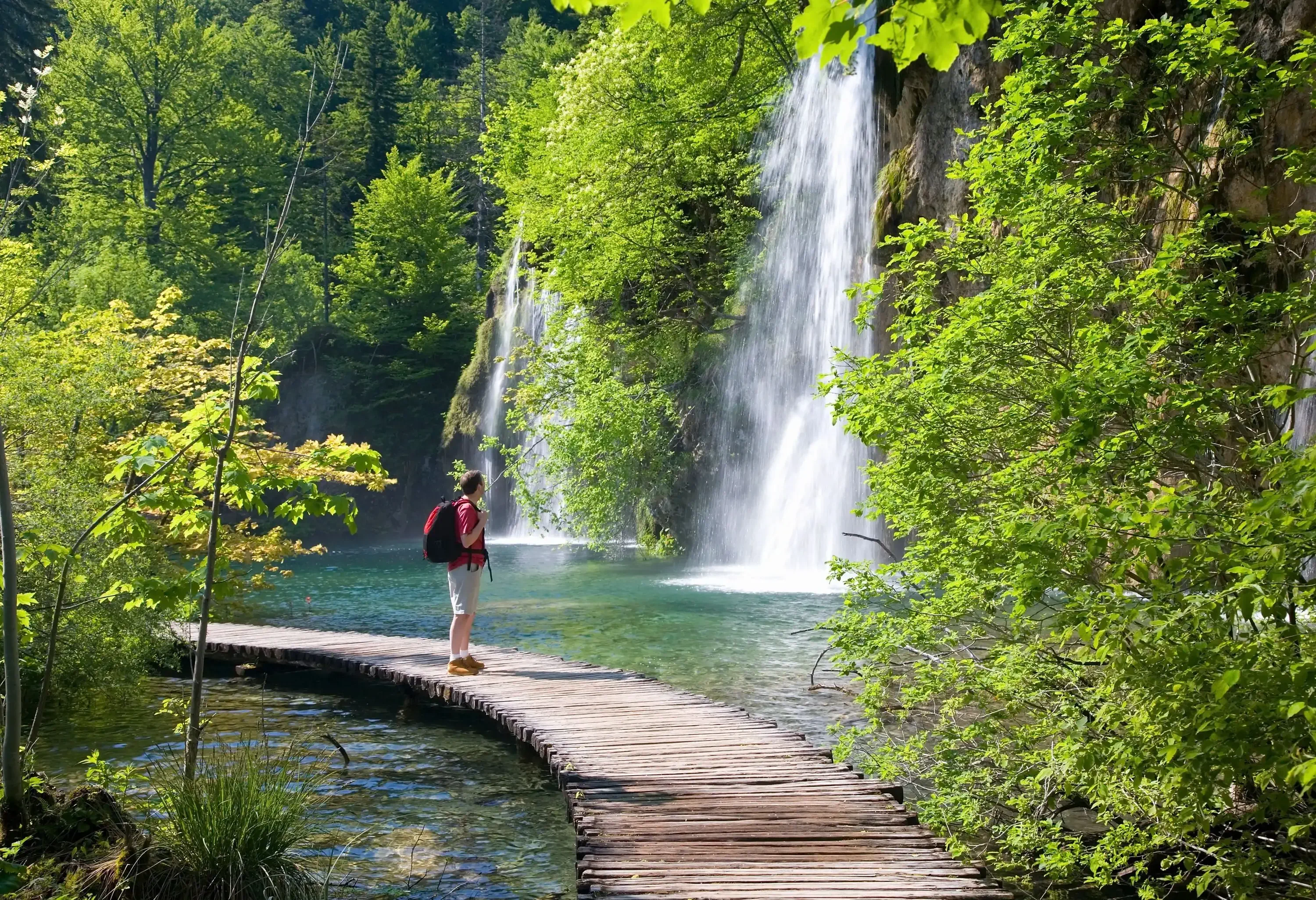 A tourist on a wooden road in the lake, admiring the view over the lush waterfalls.