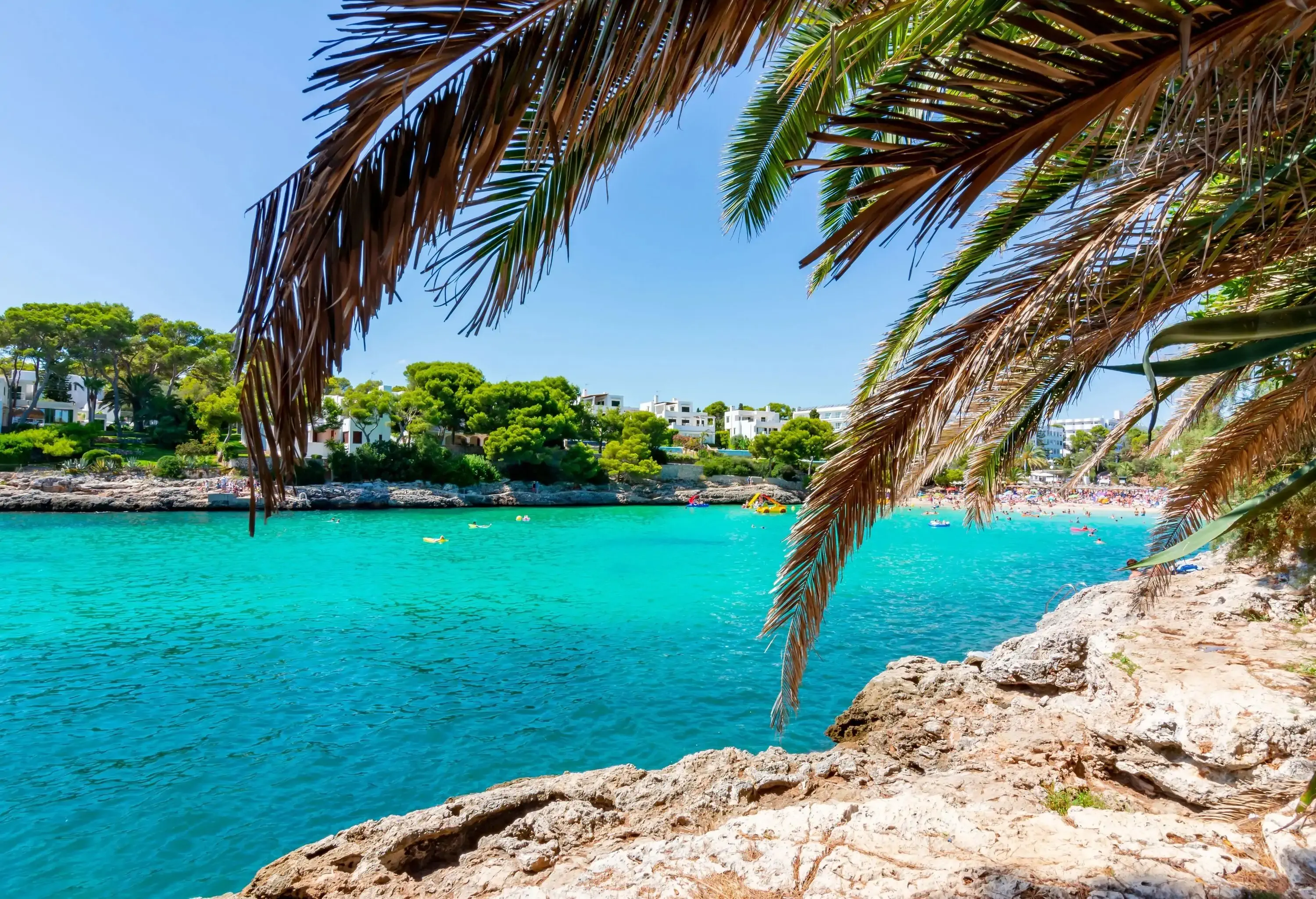 The leaves of a palm tree drooping low over a rocky bluff overlooking the azure sea.