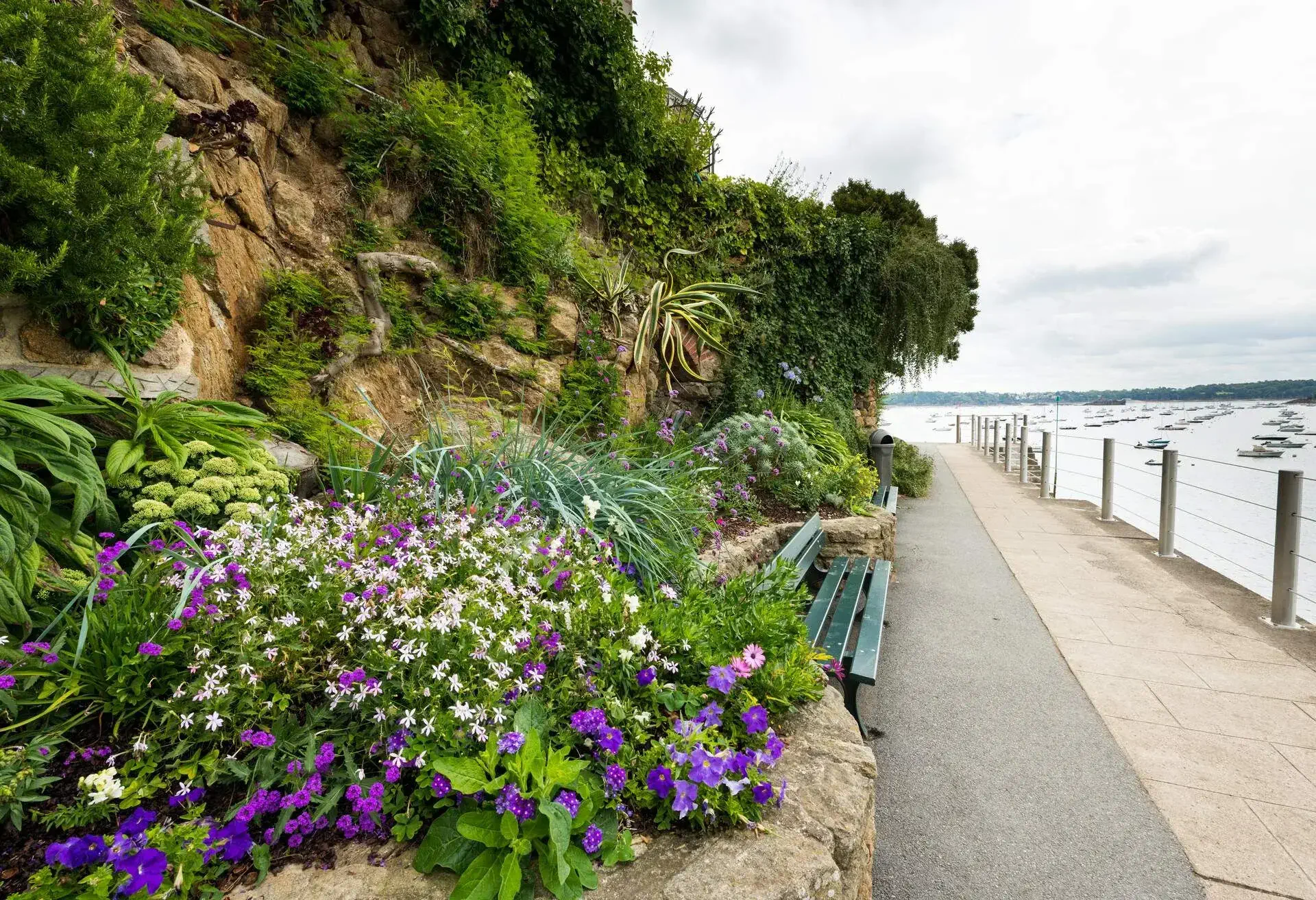 A seaside promenade with a stone wall adorned with green plants with colourful flowers.