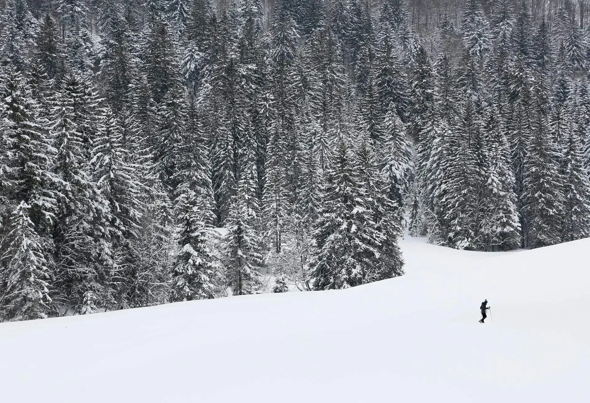 FRANCE_SKI_LA_BRESSE_HOHNECK