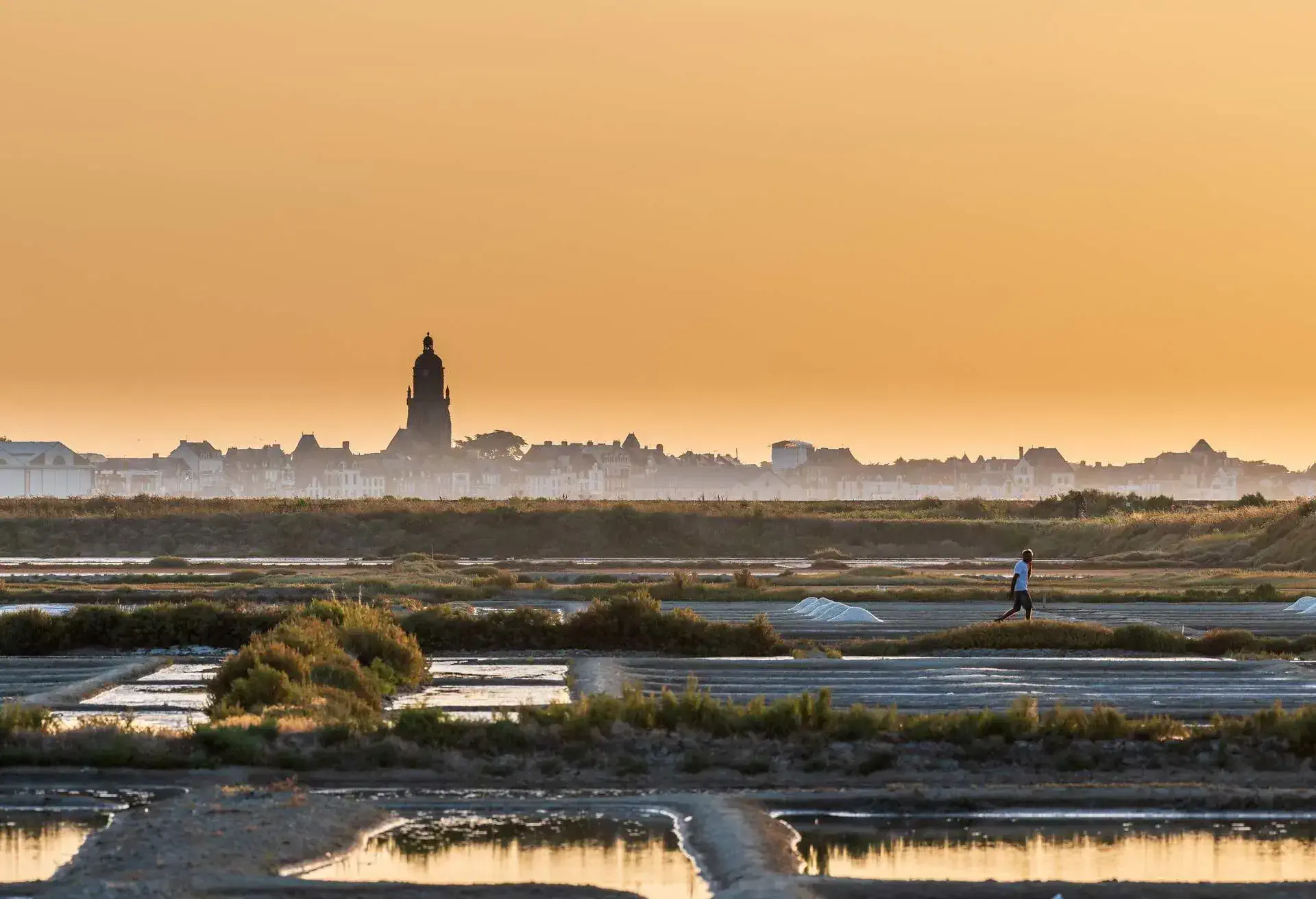 Marais salant de Guérande
