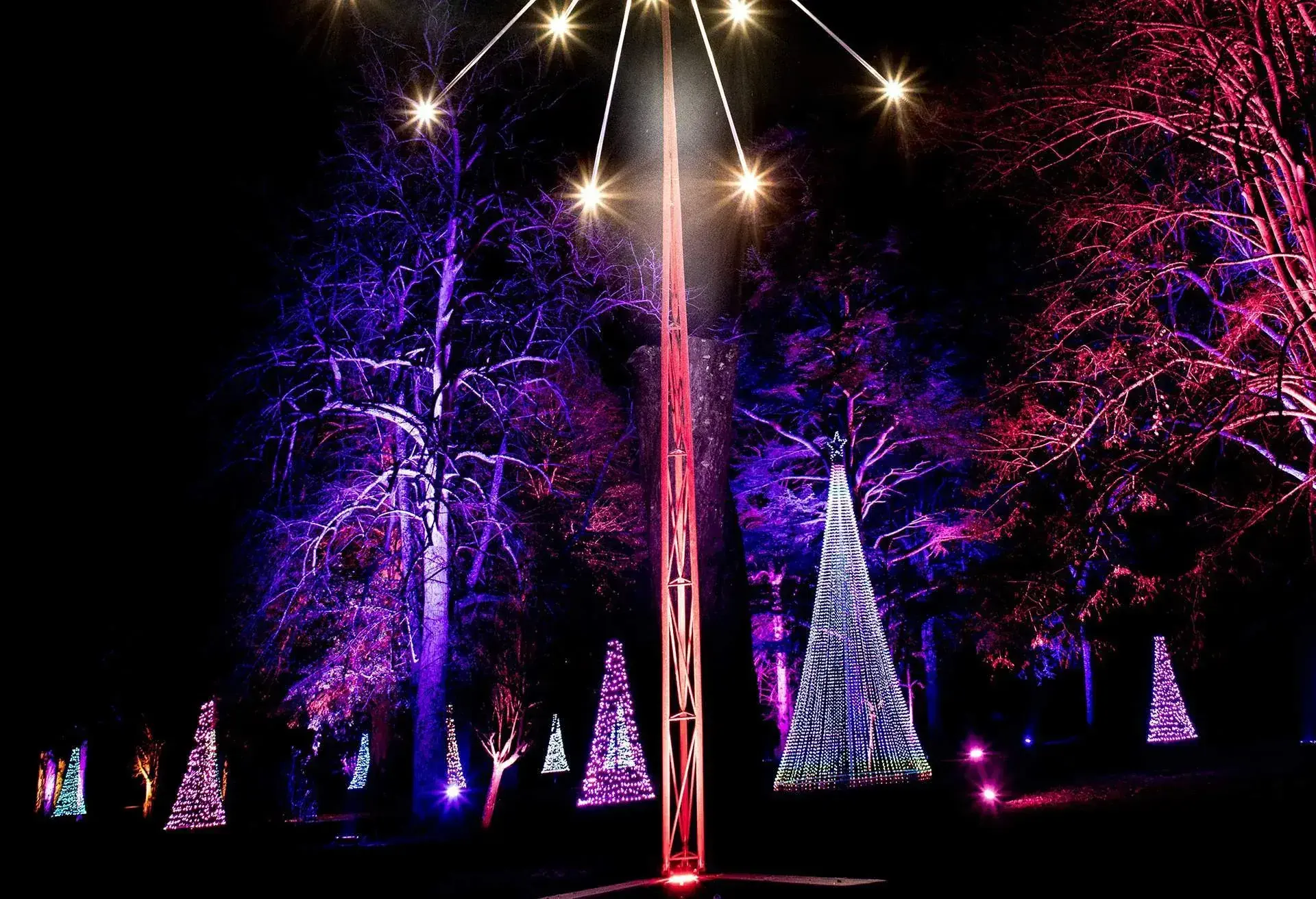 LE PALAIS DE BLENHEIM décoré pour Noël