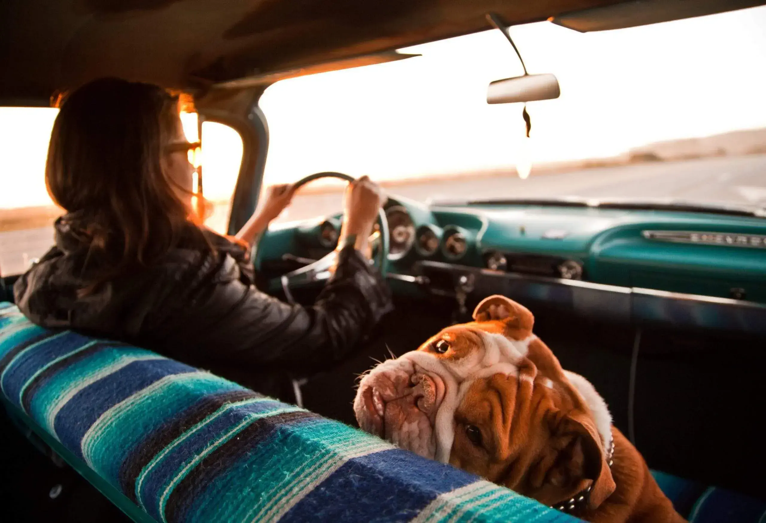 A woman driving a vintage car, with a dog by her side