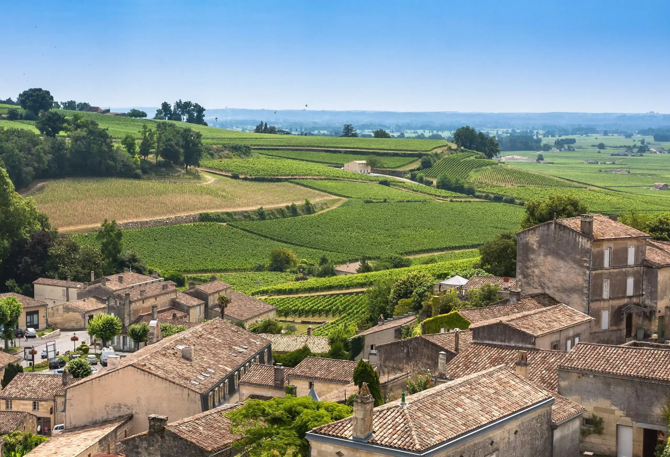 Old tiled-roof houses overlooking sloping vineyards.