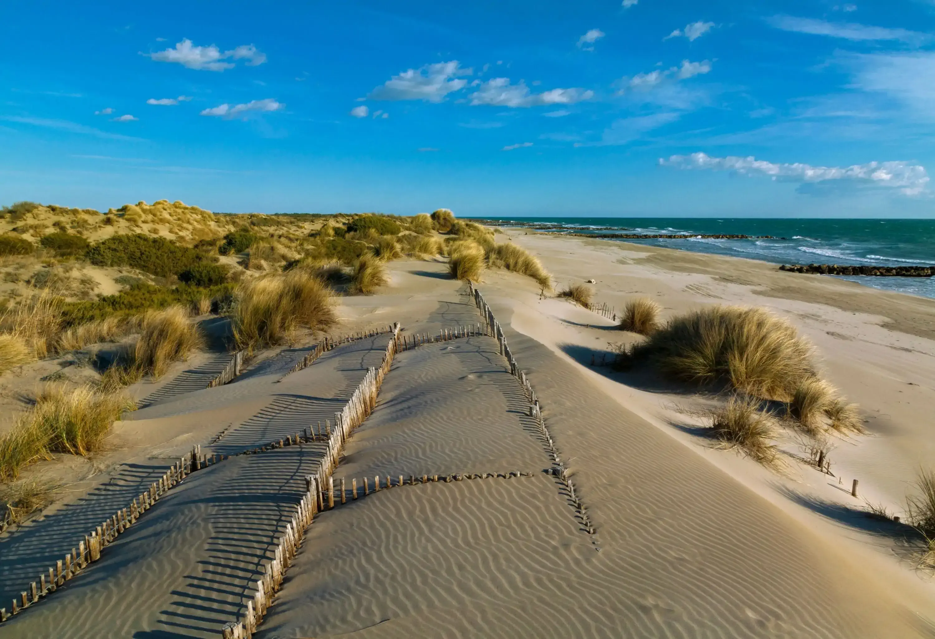 Sand dunes and green grass along a beach.