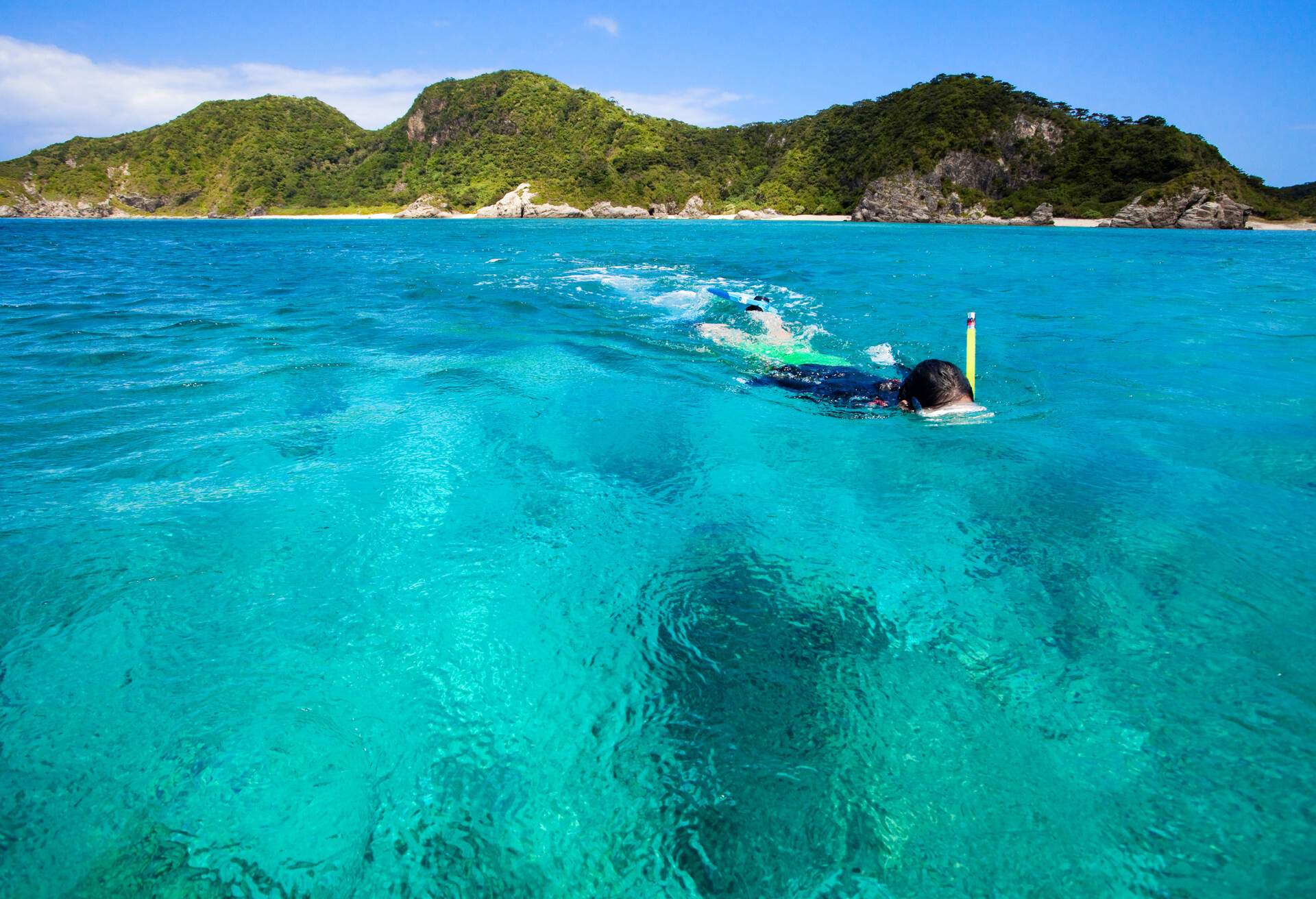 A person snorkelling in the blue water sea near the lush forested island.