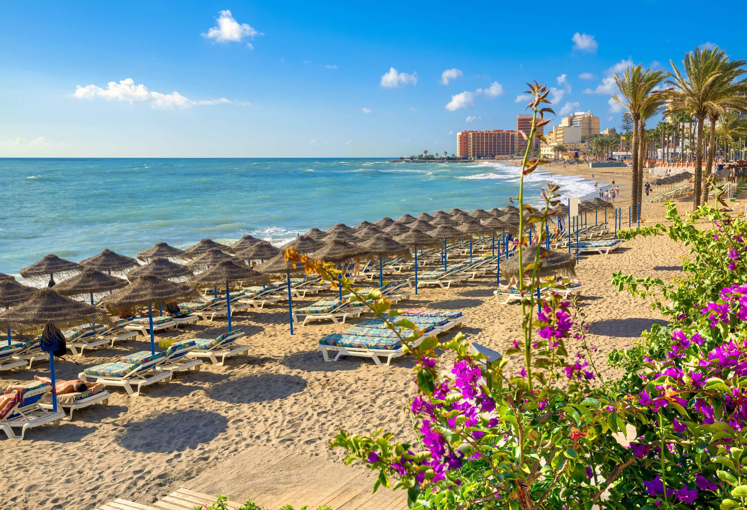 Rows of sunloungers and beach parasols on the shore of a wavy beach overlooking the modern buildings.