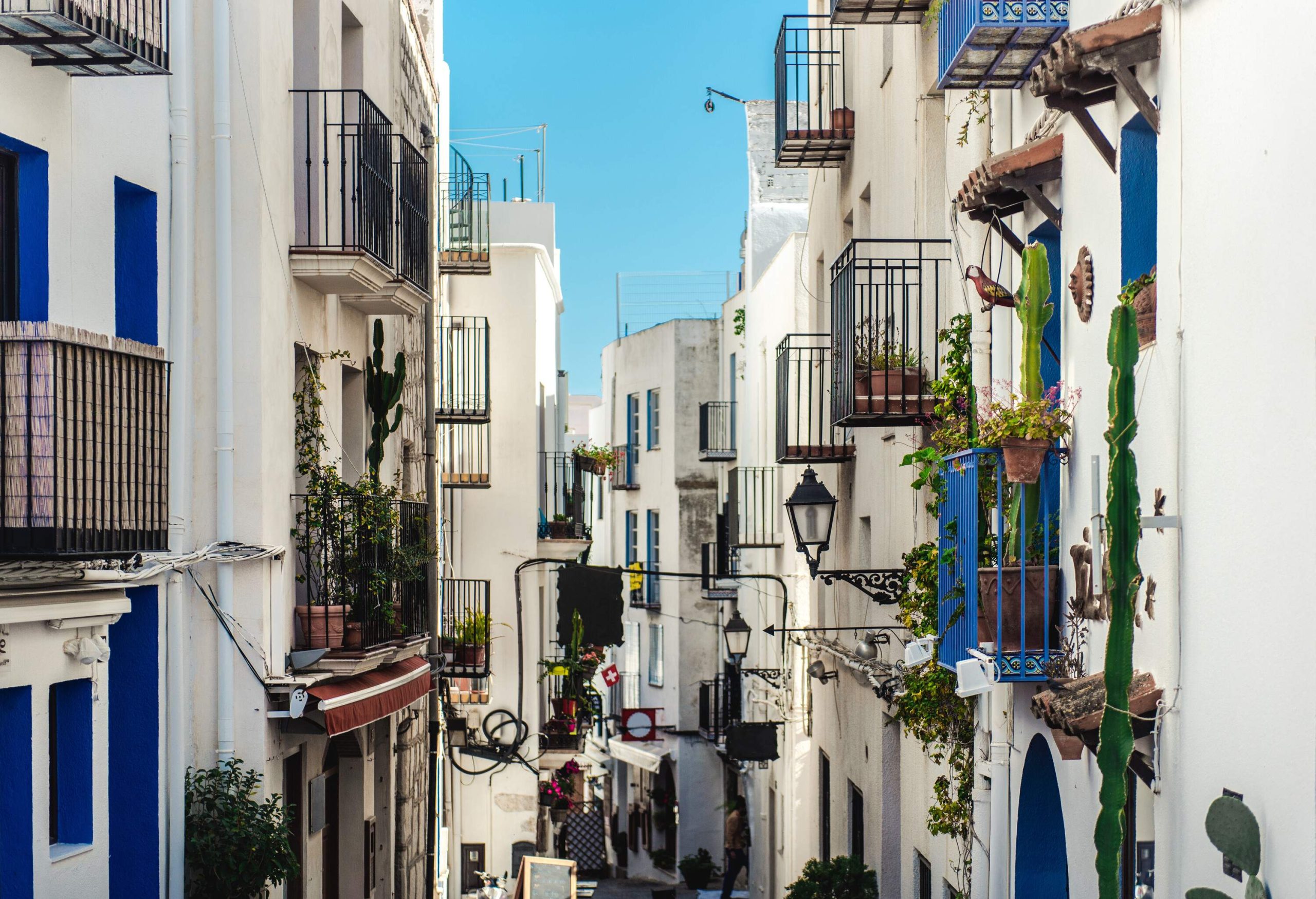 A street lined with whitewashed houses with small balconies adorned with green plants in pots.