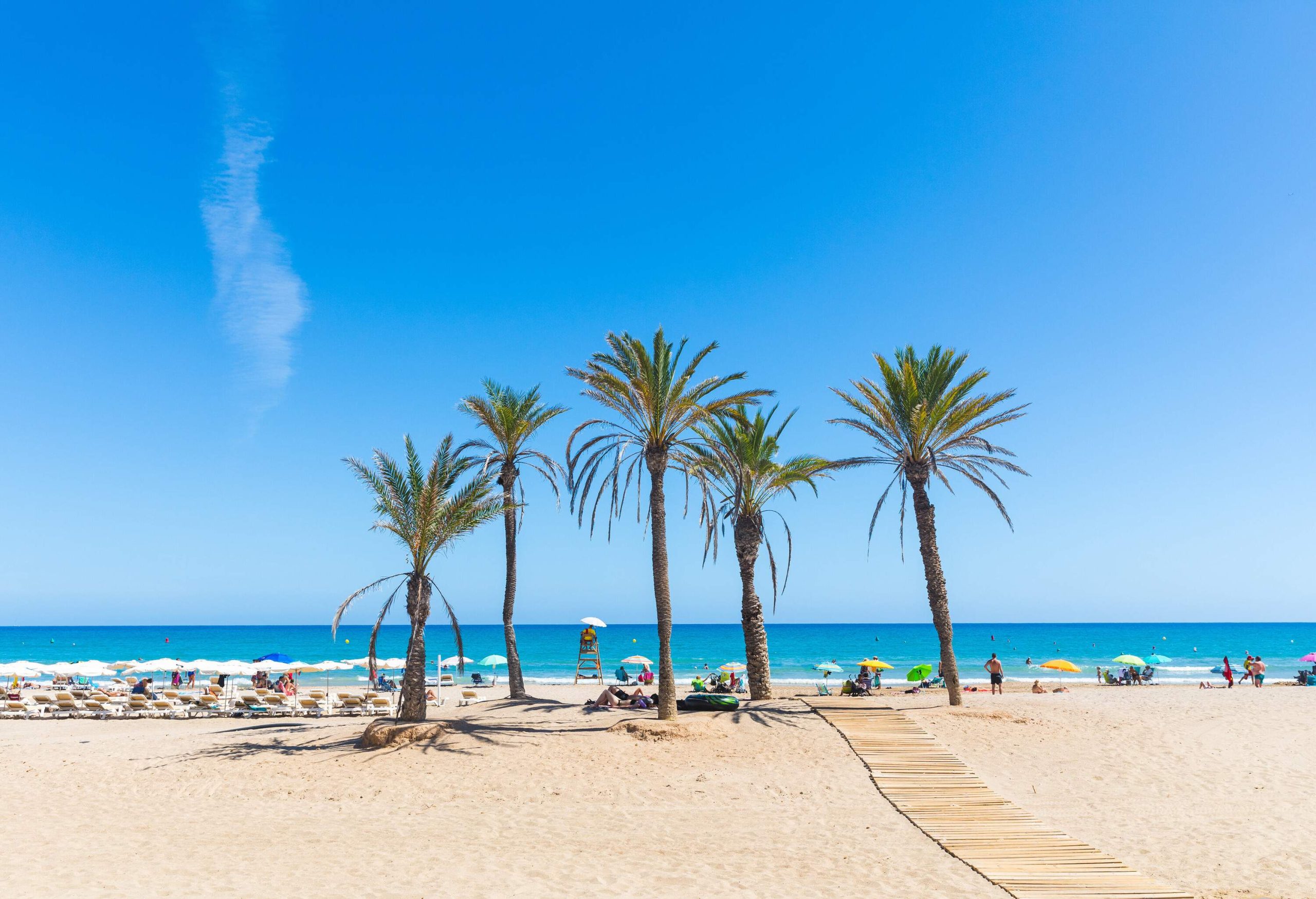 Five graceful palm trees line the sandy beach, offering shade to parasols and beach beds as beachgoers soak up the sun and enjoy the idyllic, leisurely atmosphere.