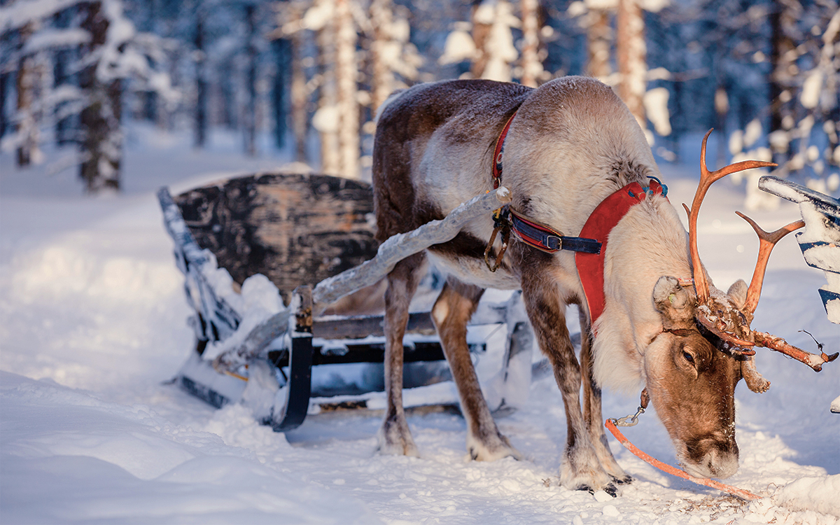 9 destinations pour plonger au cœur de la magie de Noël