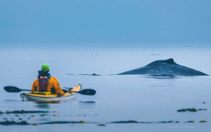 un voyage plein d'aventure