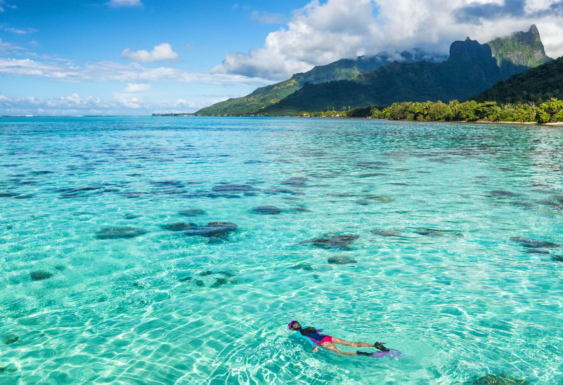 dest_french_polynesia_moorea_theme_snorkeling_shutterstock_730393618_universal_within