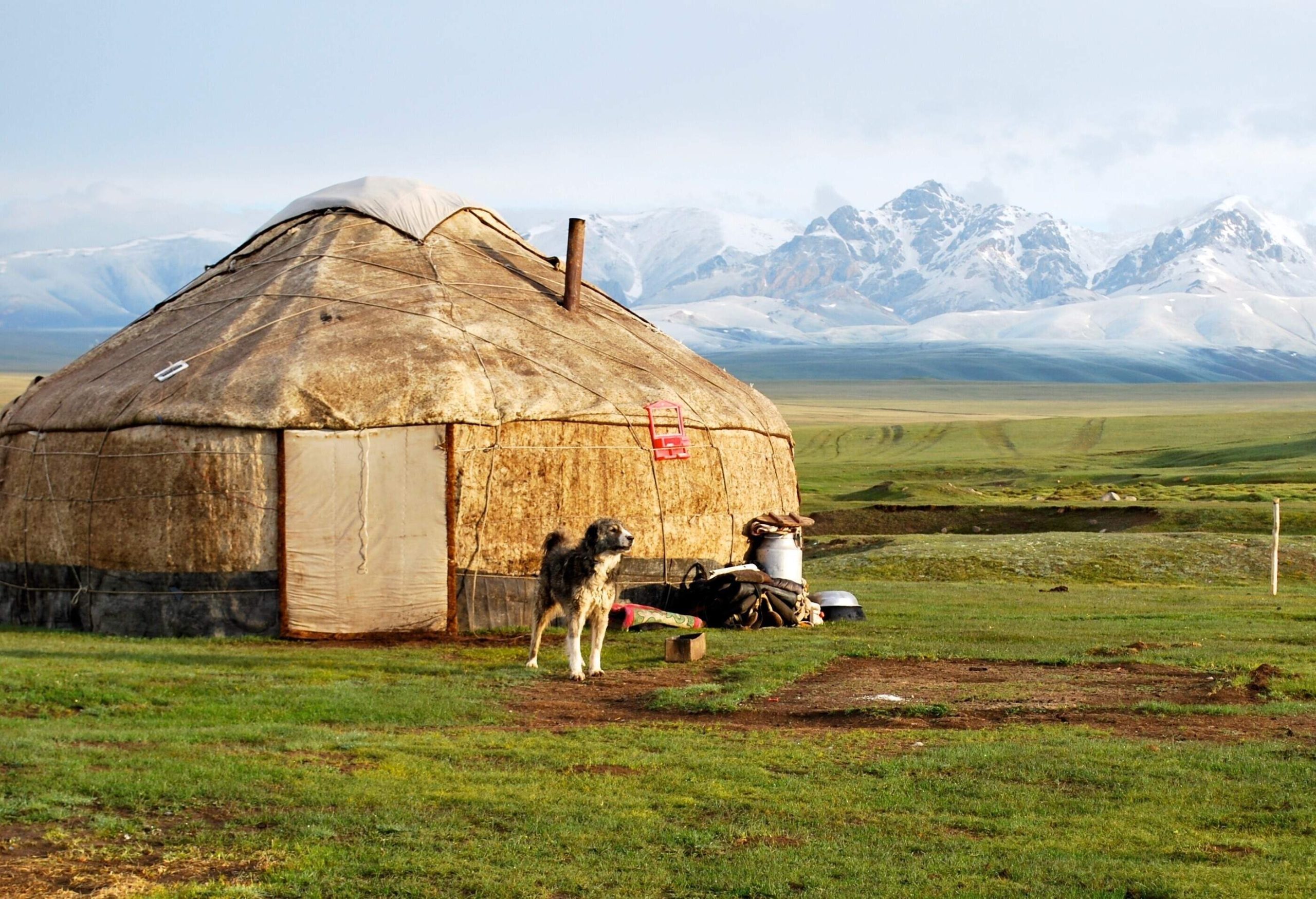 A dog stands outside a circular leather tent with distant views of mountains covered in snow.