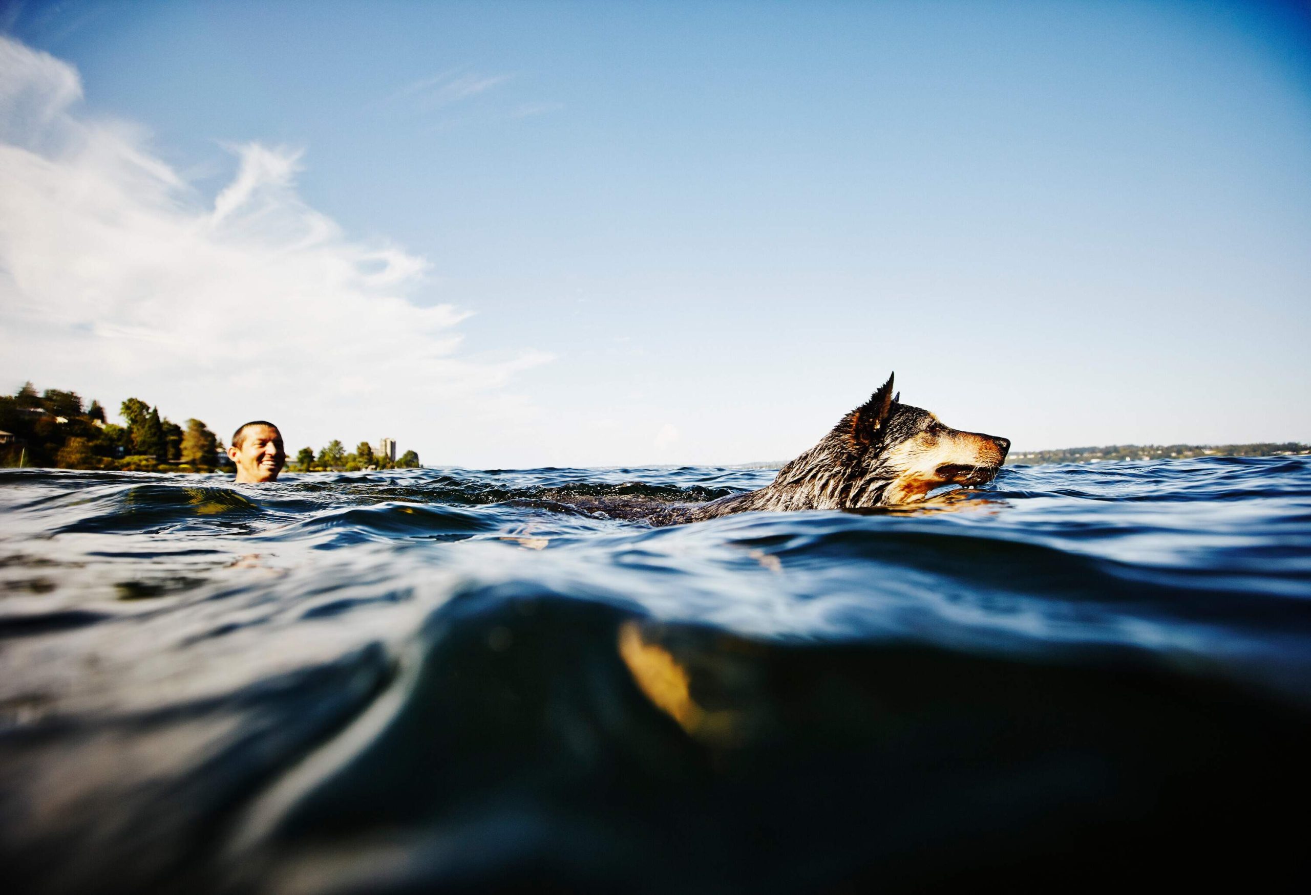 A man smiling as he watches his dog swim in a lake.