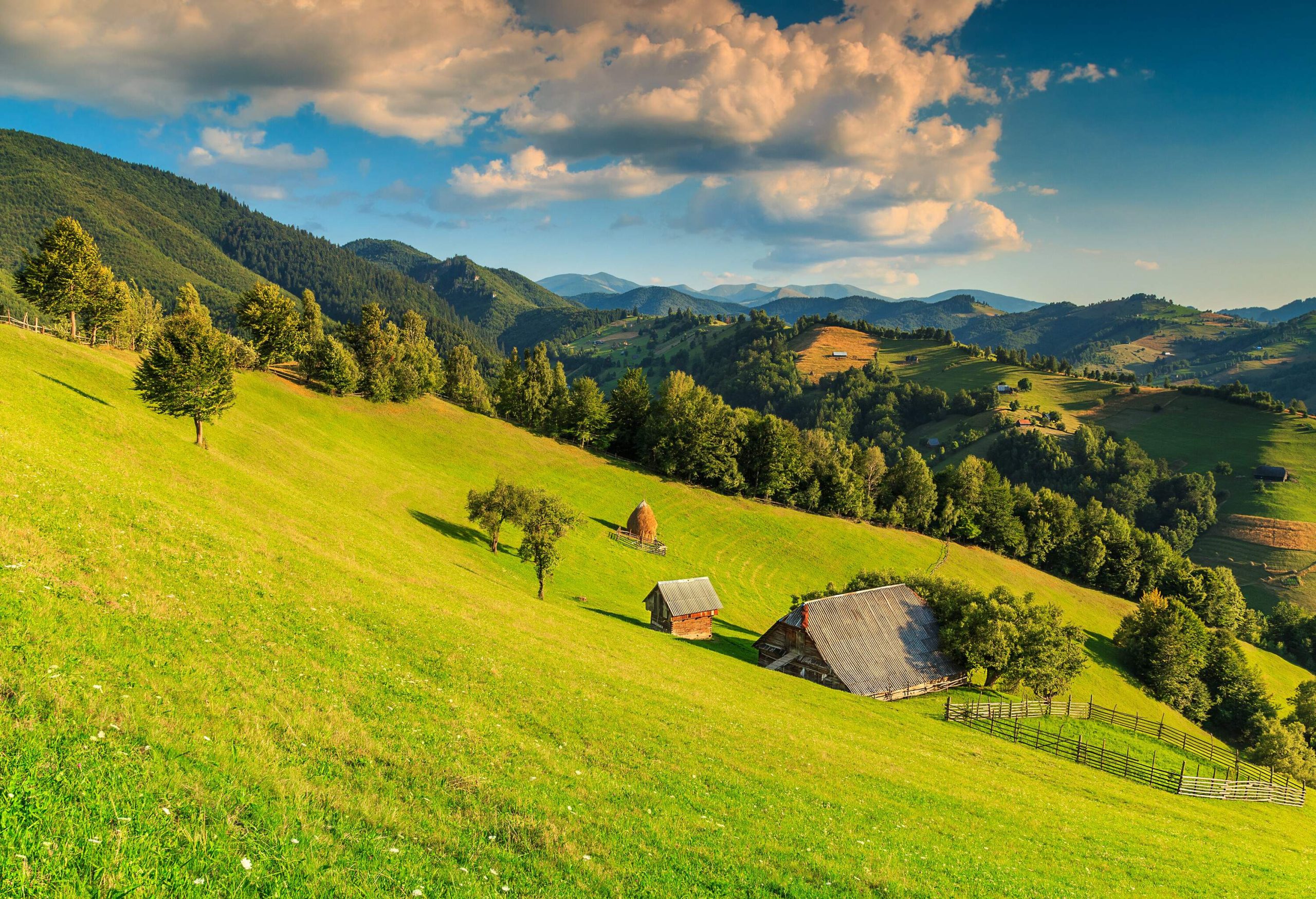 An expansive alpine landscape adorned with vibrant green fields, undulating slopes, a cluster of trees in the distance, and a breathtaking panoramic vista of the surrounding emerald-hued mountains.