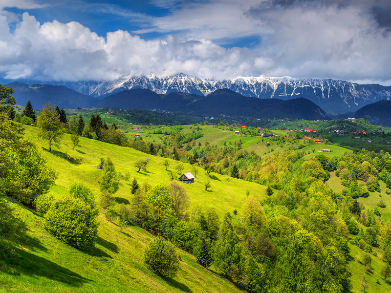 Magnifique paysage en Transylvanie en Roumanie: De verts pâturages sur fond de montagne enneigées