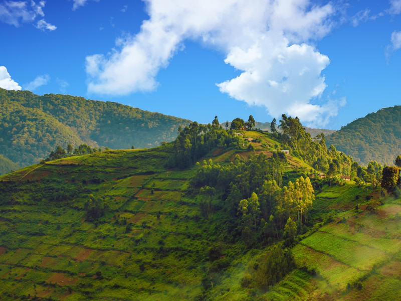 Colline verte et boisée au Rwanda, une destination méconnue et insolite pour vos vacances d'été