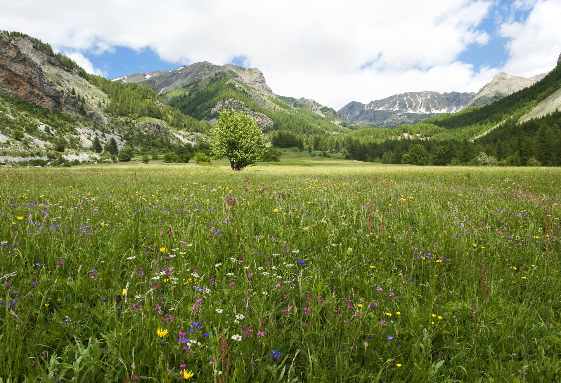 france nice hinterlands