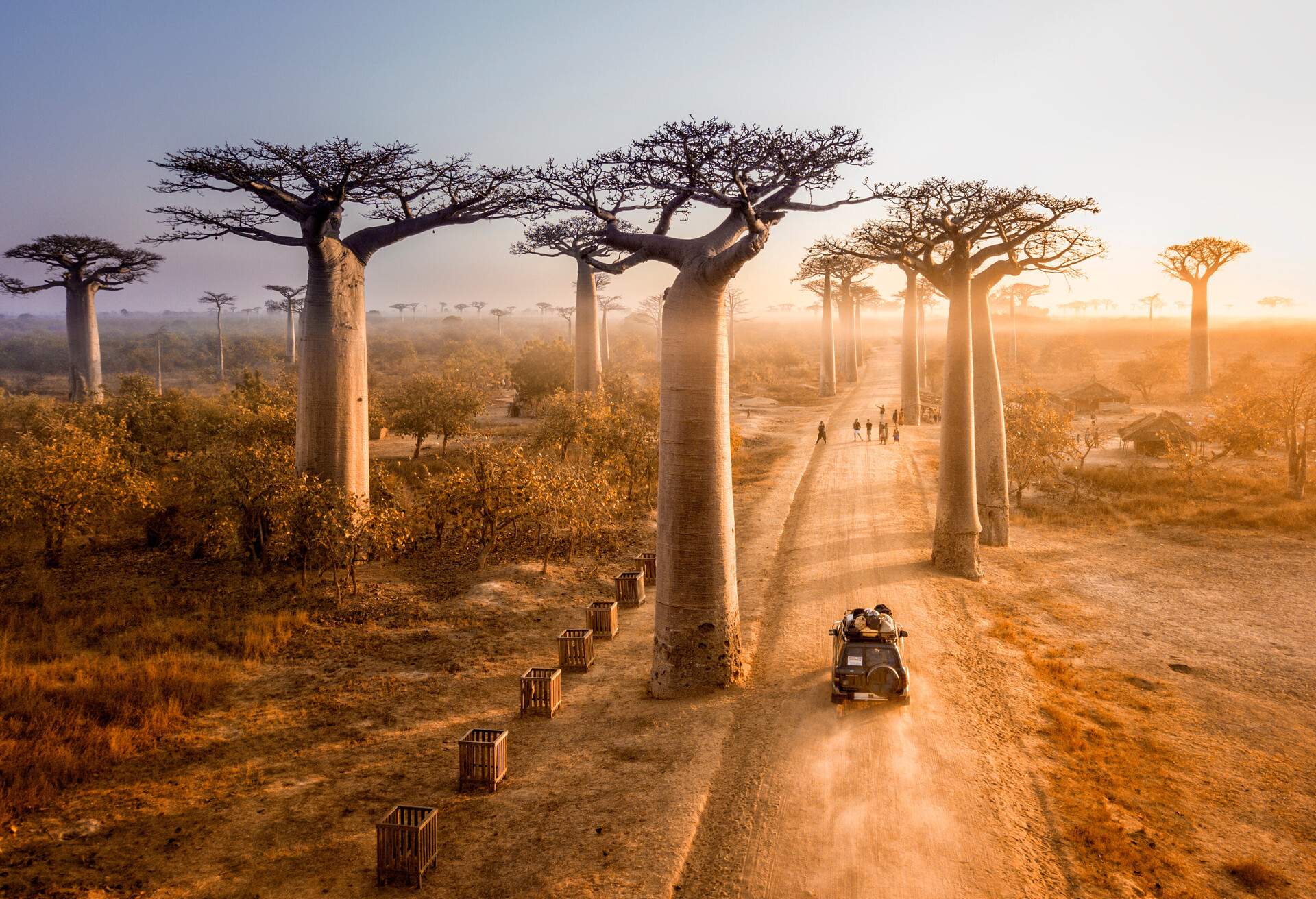 An off-road SUV approaching a group of people standing in the middle of a dusty road surrounded by baobab trees.