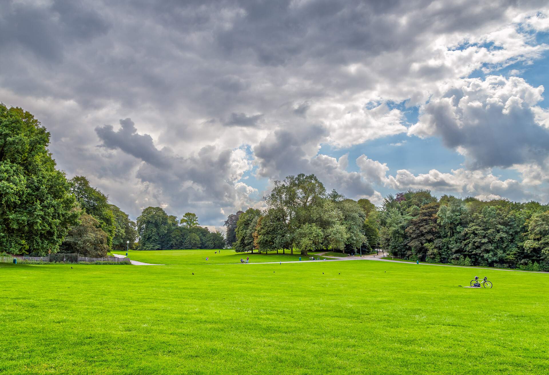 Day in the Park