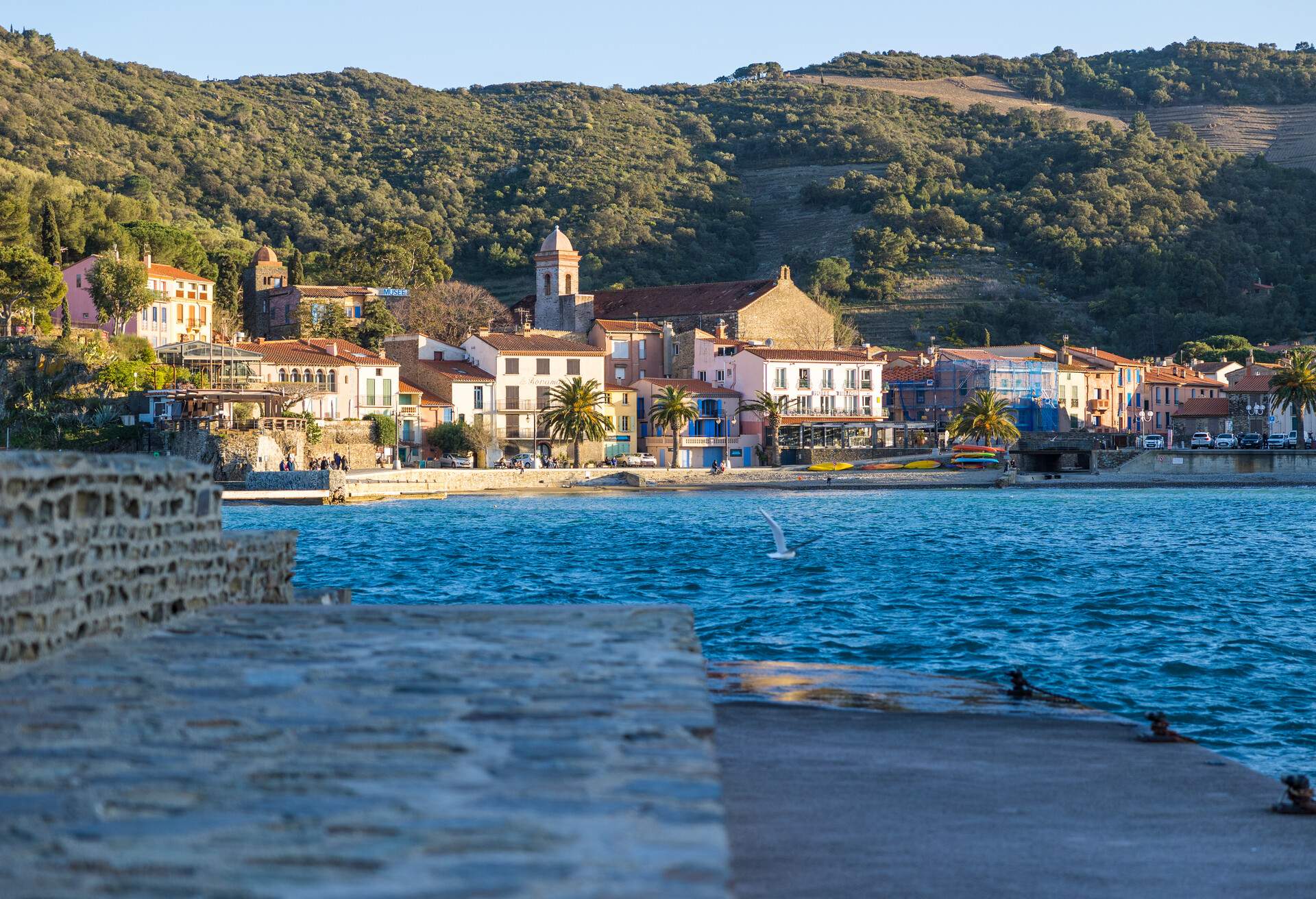 View at sunset on the Port d'Avall beach in Collioure, France