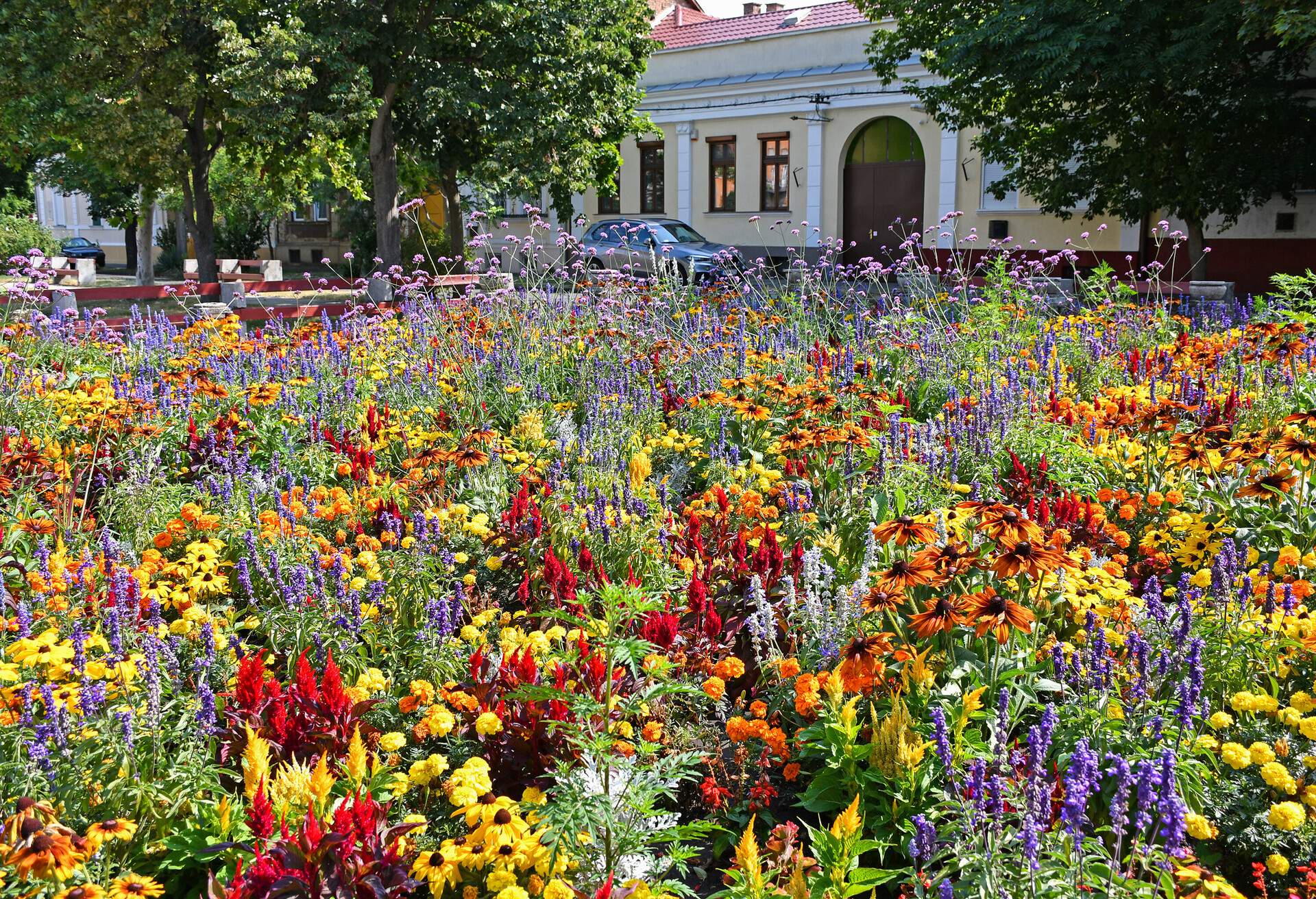 Flowers in the city park, Debrecen, Hungary; Shutterstock ID 1468961177