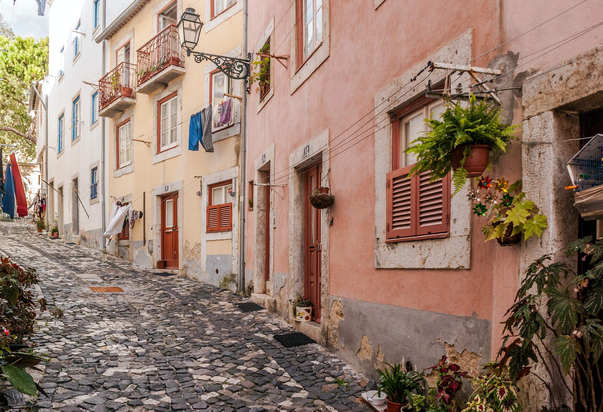 A stone-paved alley featuring houses with balconies and planters.