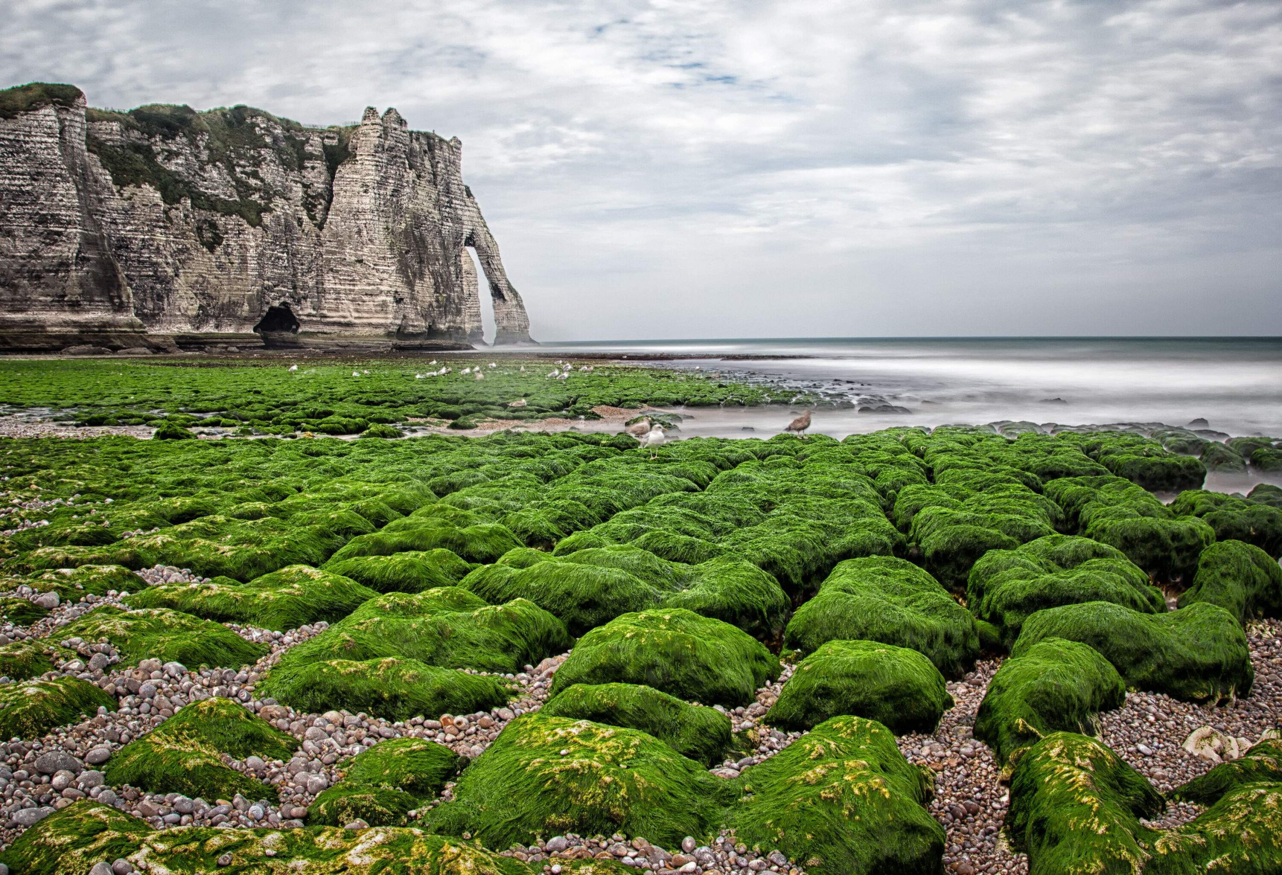 A rocky shore covered in moss overlooks the cliff with a natural rock arch against the cloudy sky.