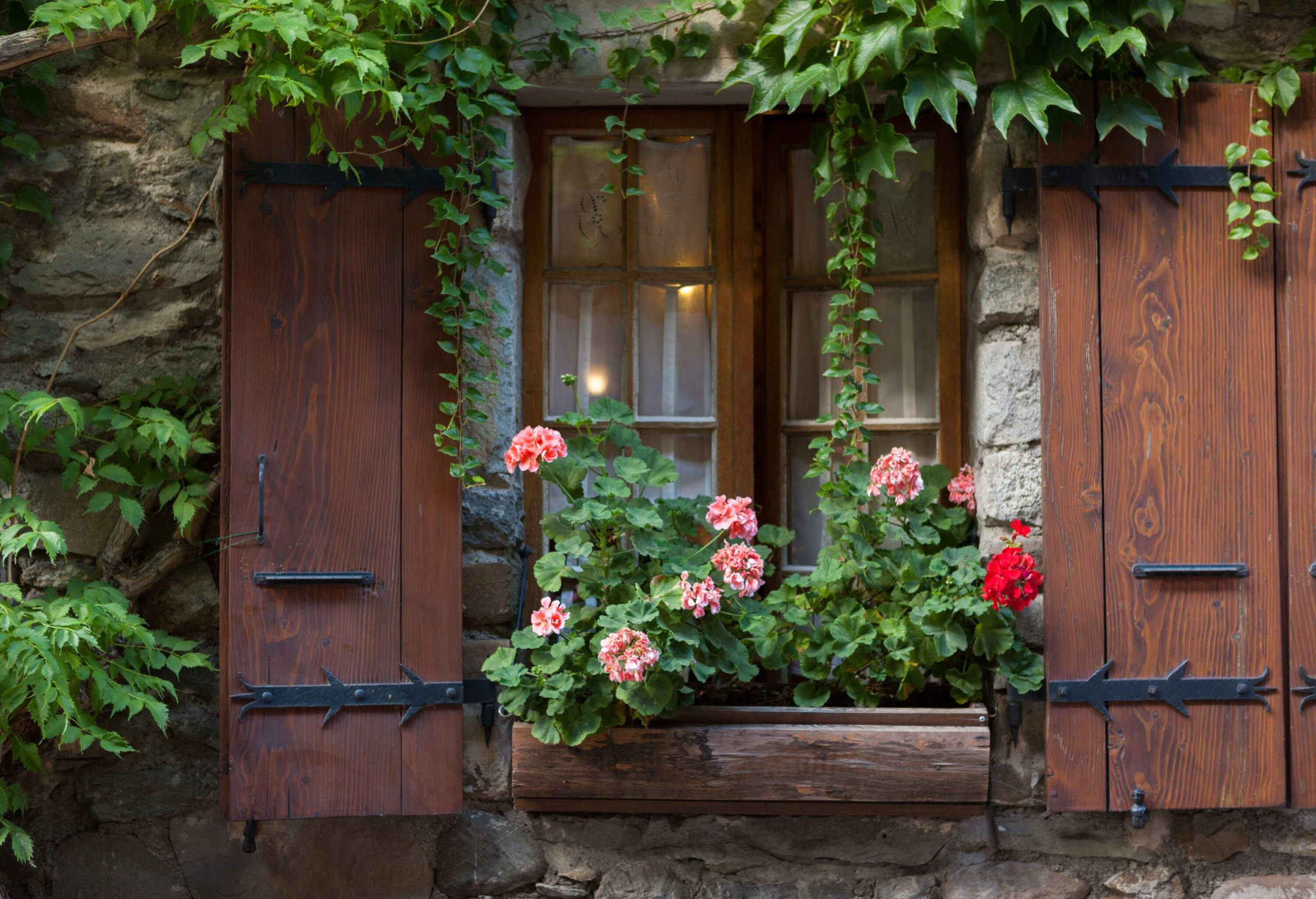 A glass window with wooden shutters and a flower-filled ledge beneath the green vines.